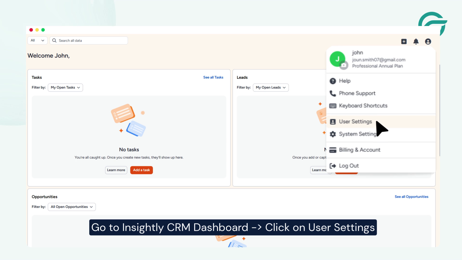 Go to your Insightly Document, Click on User Setting