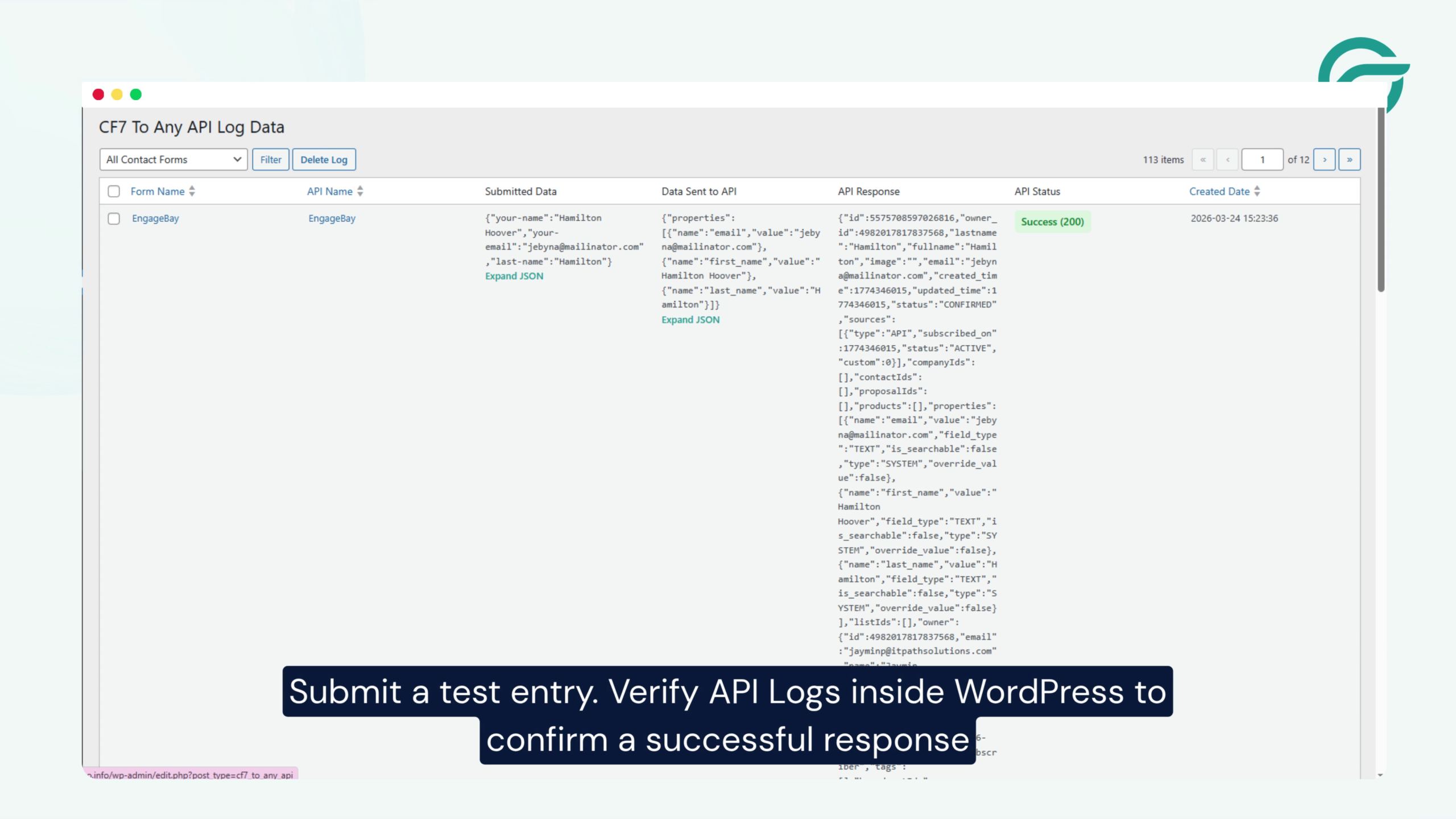 Submit a test entry. Verify API logs inside WordPress to confirm a successful response.